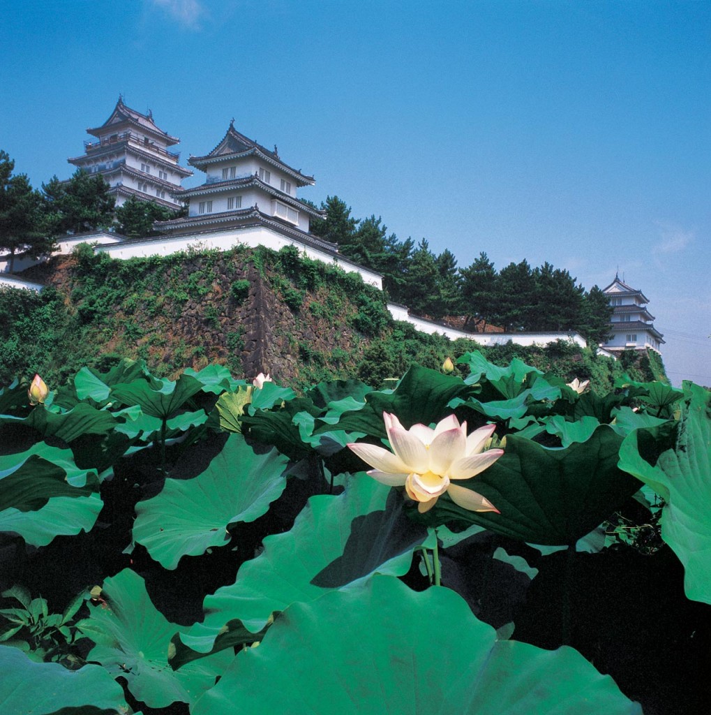 乐基儿，长崎，山茶花故乡 乐基儿恋在长崎，长崎市，TSUBAKI 丝蓓绮，伊王岛，眼镜桥，心田庵，夜景，世界新三大夜景，岛原市，岛原城，武士宅，鲤鱼街，思明庄，云仙温泉，小浜足汤温泉，豪斯登堡，海鲜饭，长崎旅游，长崎观光